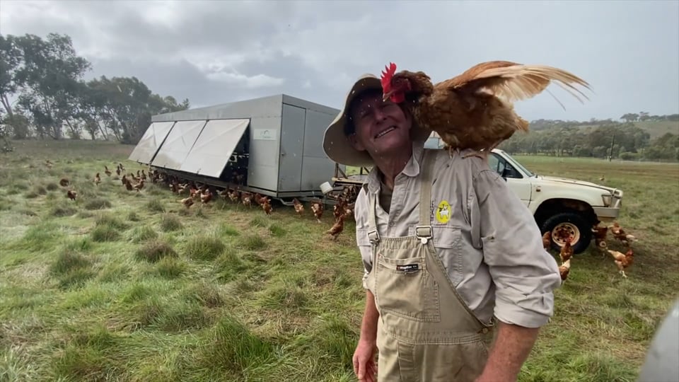 Moore and Moore Cafe — Little Creek Pastured Eggs