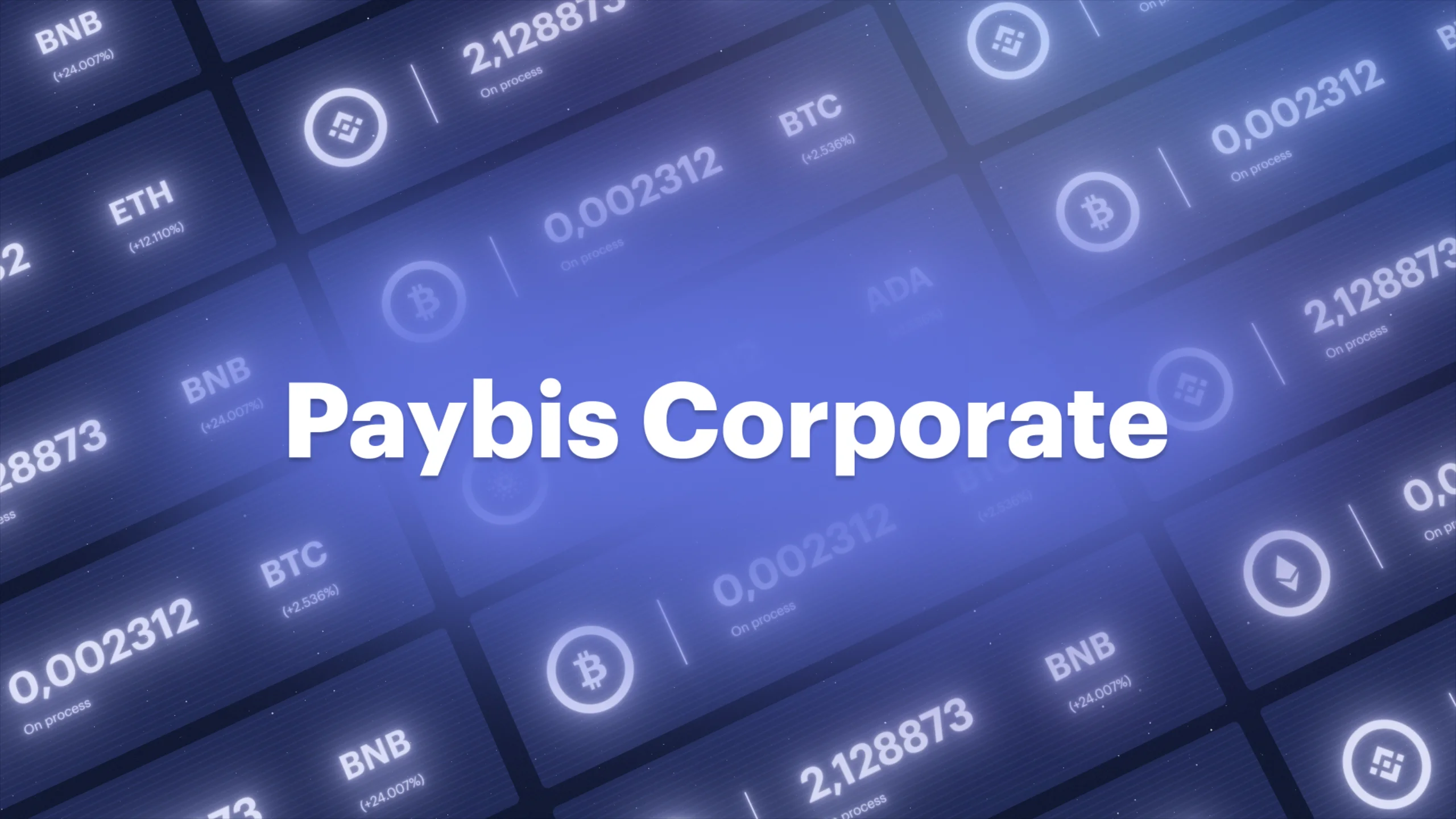 Paybis Business Wallet & OTC Desk