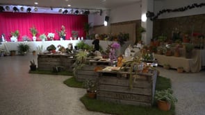 Més de cinc-centes persones visiten la mostra de flors, bonsais i ceràmica del CER