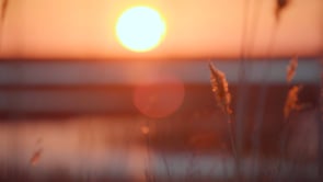 EASTERN SHORE VIGINIA
