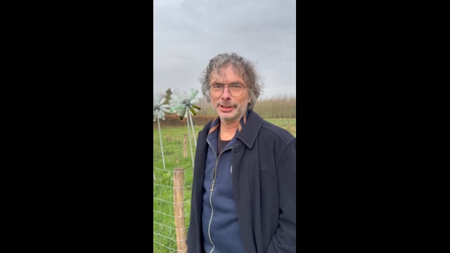 Filmpje Dandelion - Geert van den Hoogen