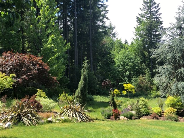 Rent a Room in Beautiful Gig Harbor Main Photo