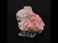 74864 - Rhodochrosite