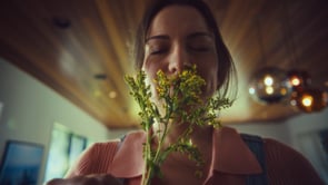 Alen Air - Perfect Dinner