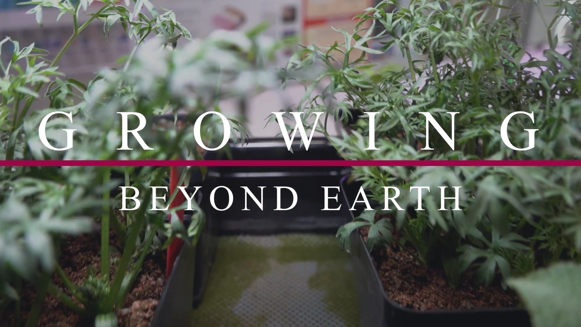 Growing Beyond Earth