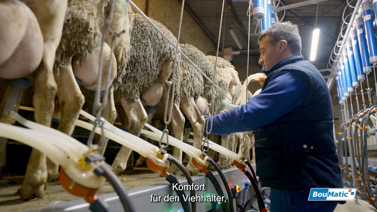 Melksysteme für Schafe: Erfahrungsbericht, Frankreich