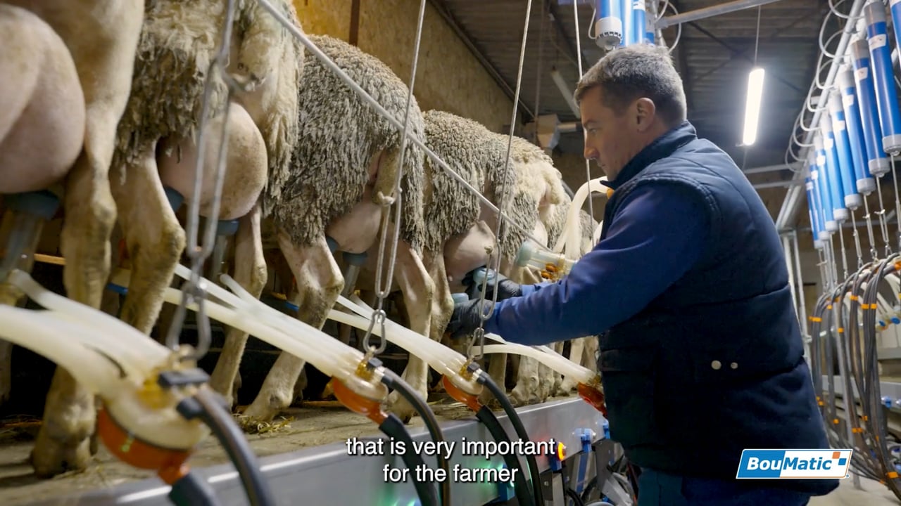 Milking systems for sheep : Farmer testimonial (France)