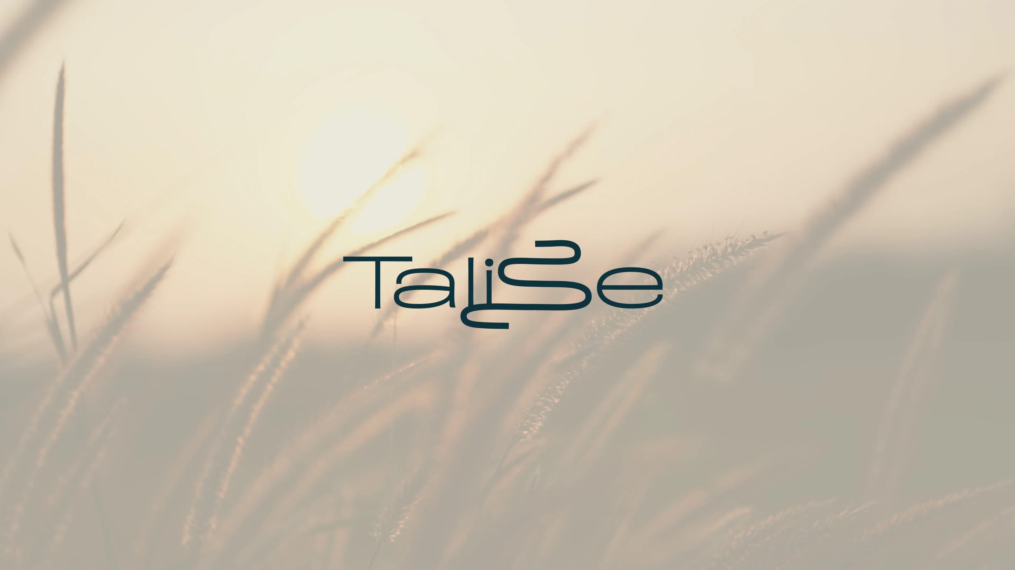 Talise - Community Marketing Video with Airport