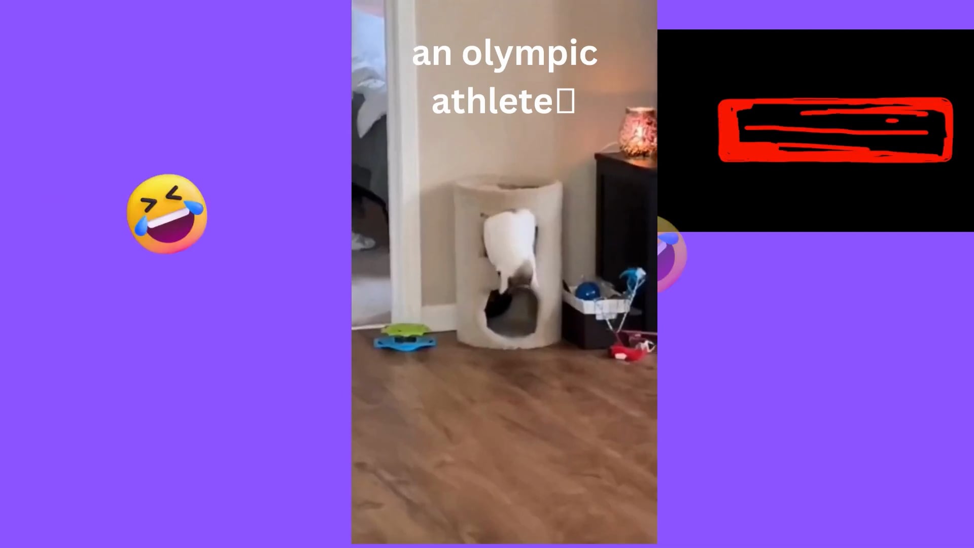 Αστεία βίντεο με γάτες