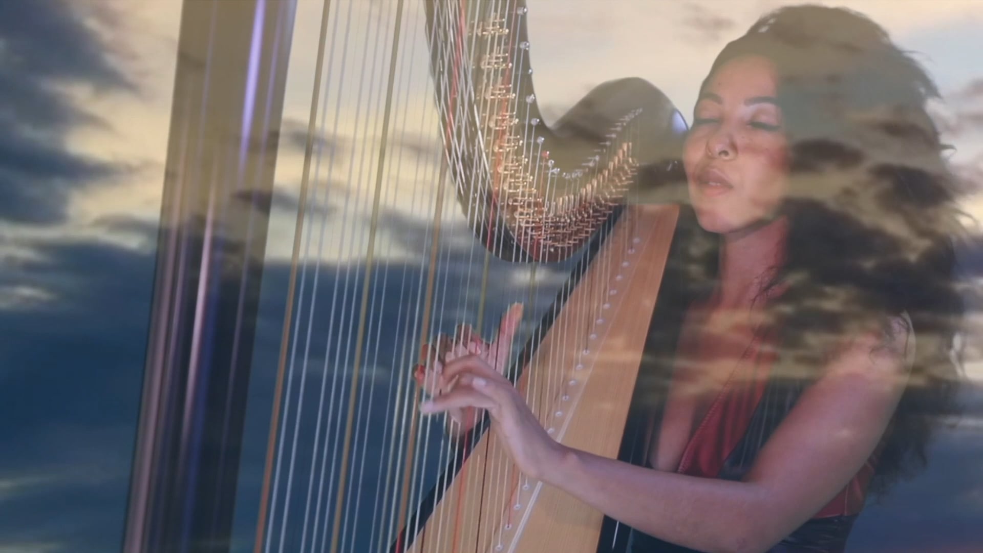 'Every Grain of Sand' ZEM's Tribute to Bob Dylan