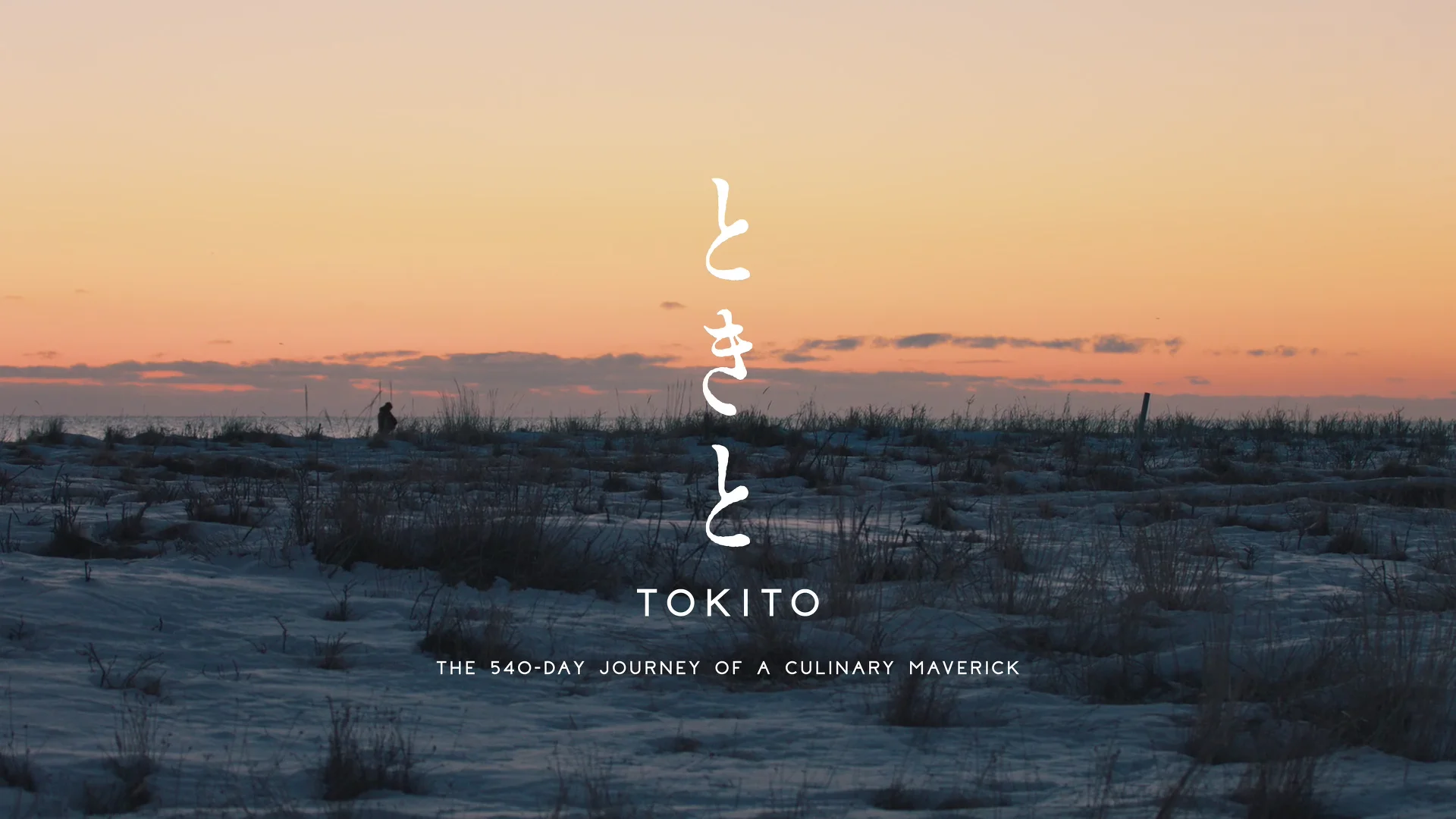 World Premier at Warsaw Film Festival :“TOKITO - The 540-day
