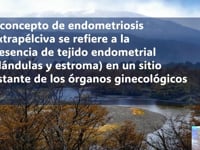 05 Endometriose extrapelvica Walter Krause