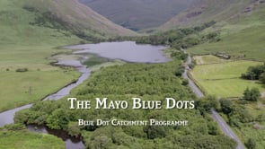 The Mayo Blue Dots Programme - LAWPRO