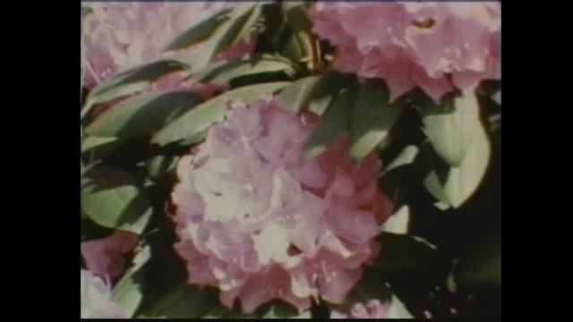 Still 1