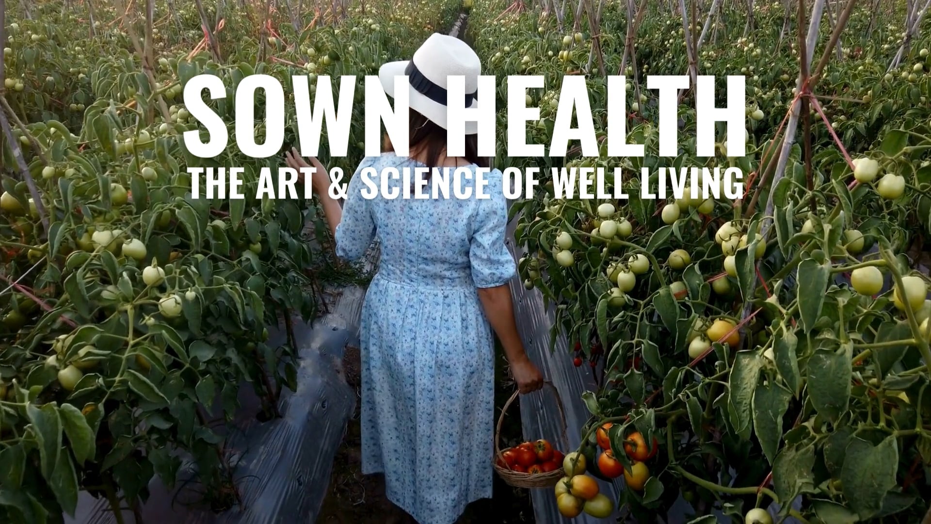 Sown Health | Website