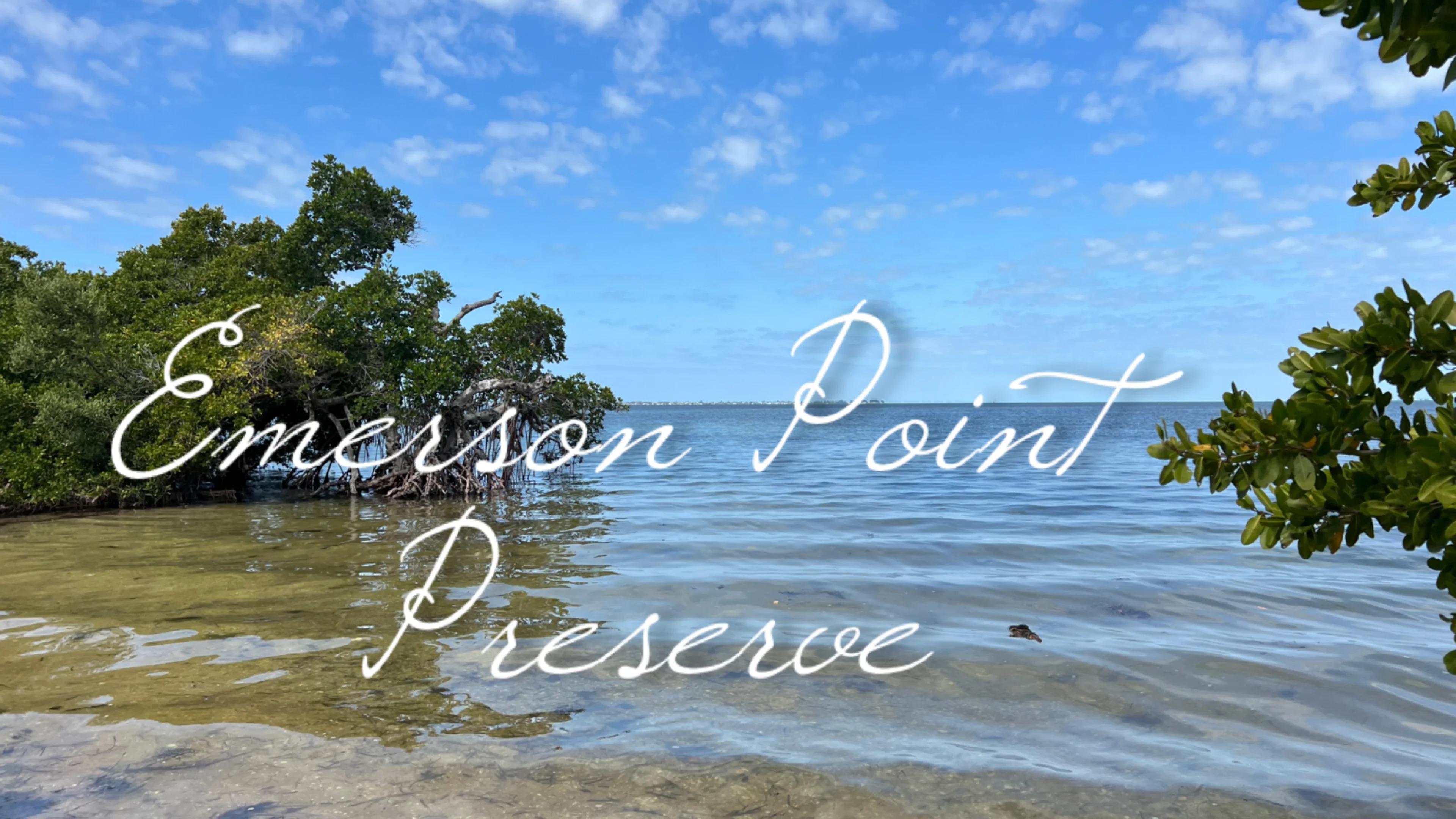 Emerson Point Preserve on Vimeo