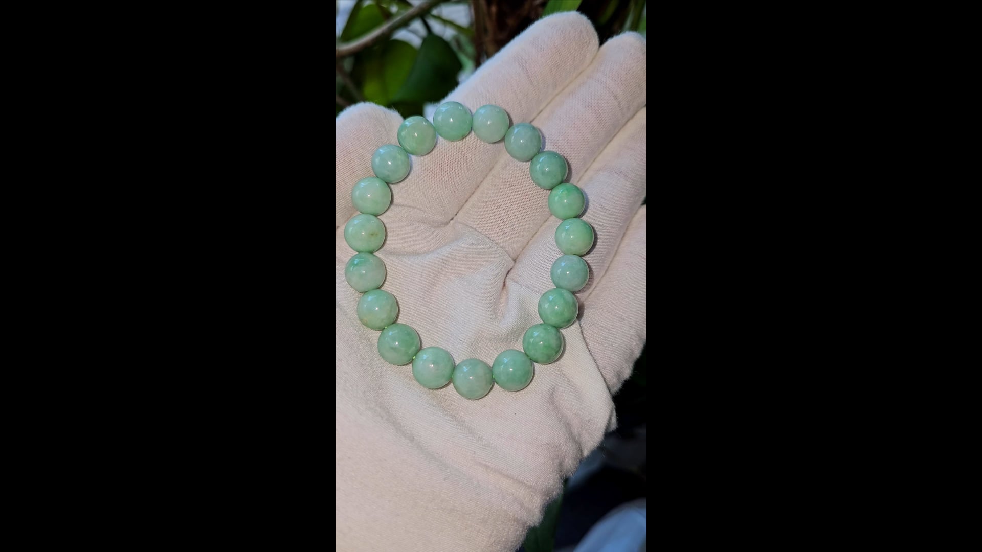 Condol Con Pume D Gada Brmana, Multcolor D Grado A, Natural, Traslucd, Altamente