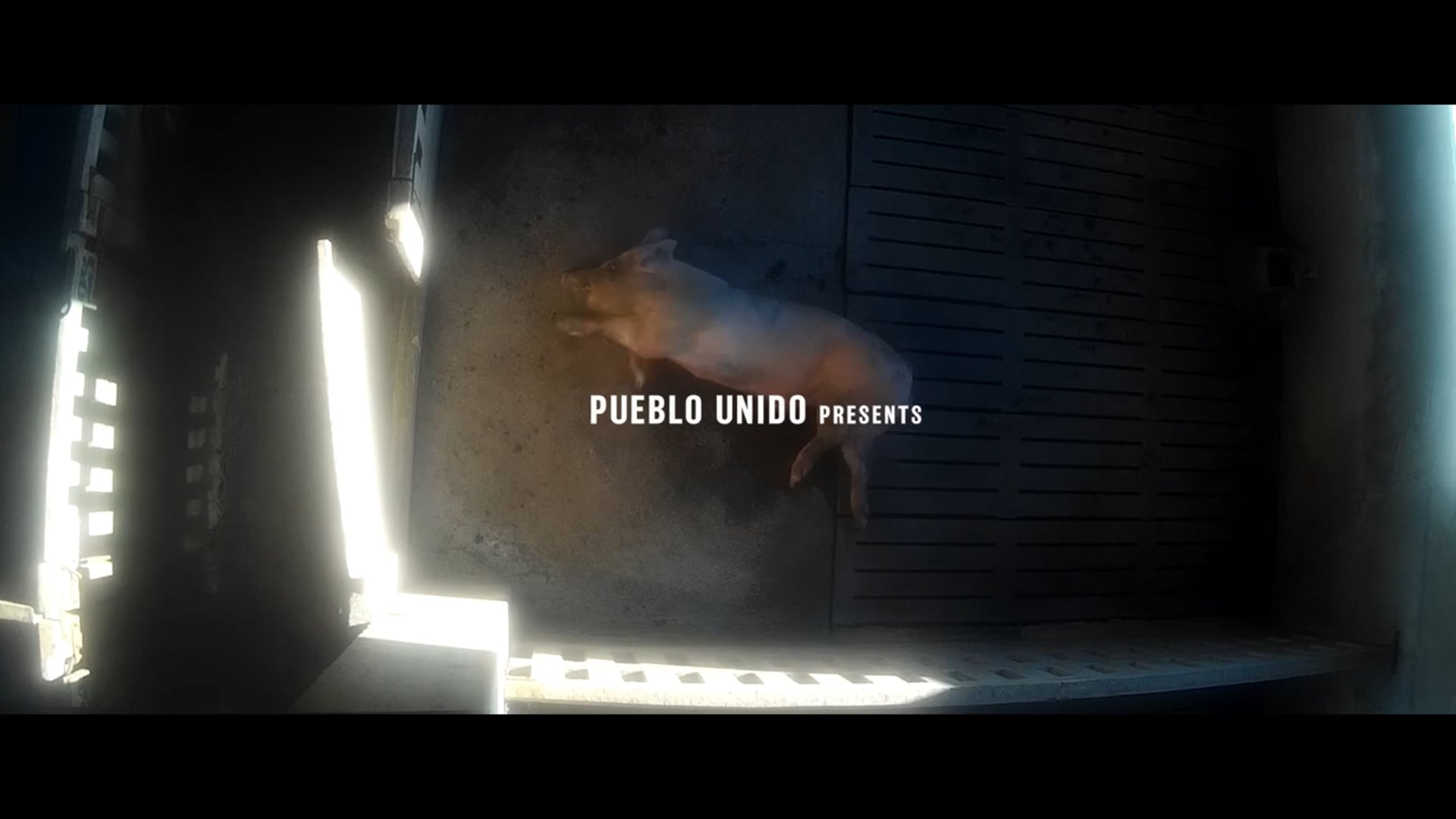 FOOD FOR PROFIT - Official Trailer English