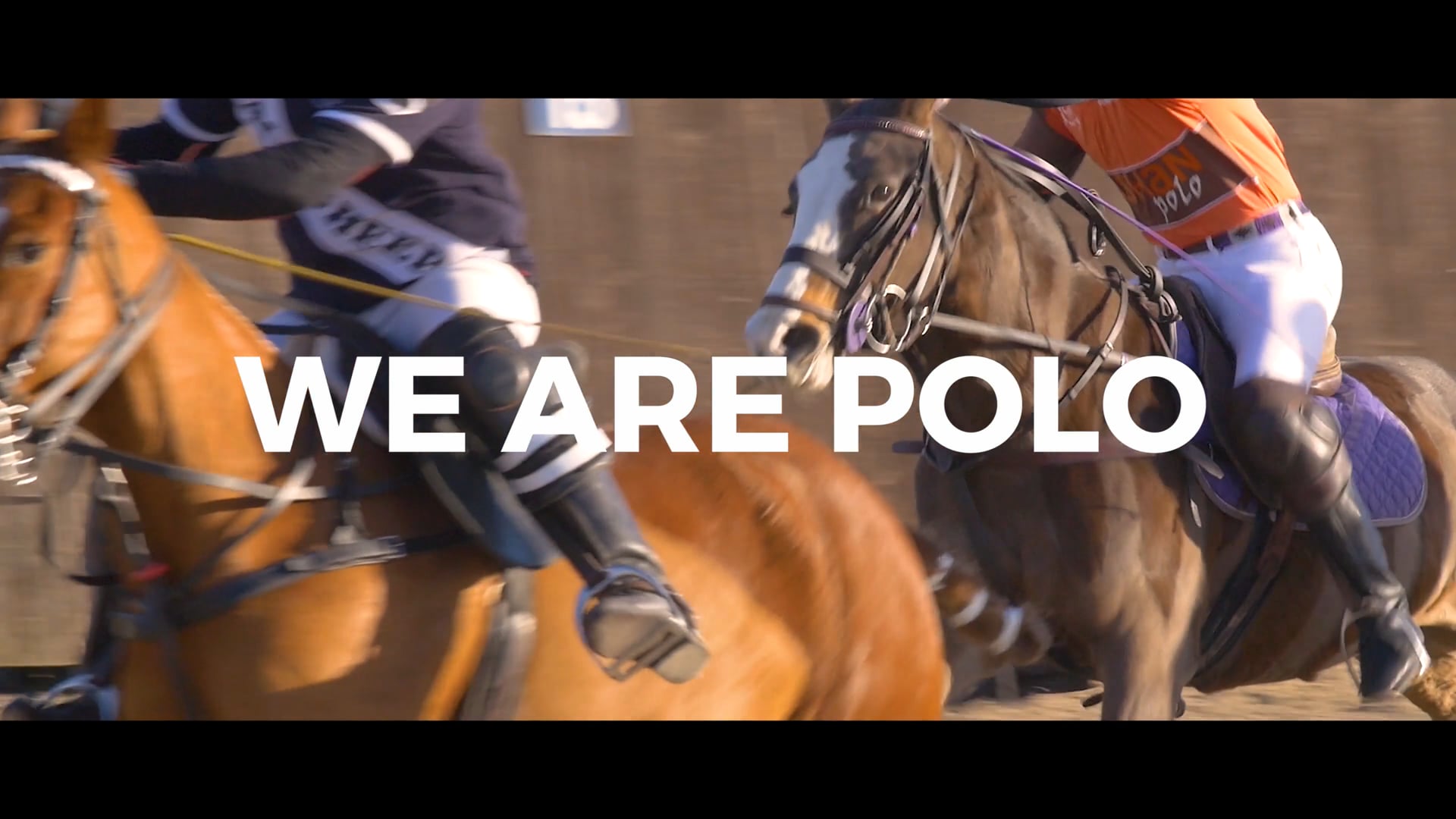 "We are Polo. And we're not" | Emsworth Polo