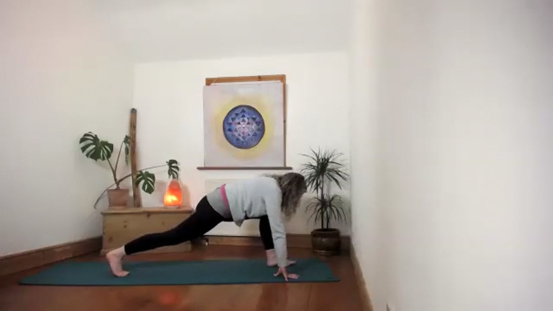 Multilevel wk5 Head to Toes