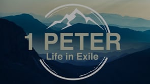 Finding Joy in Suffering: Christians Can Endure Trials with Trust in God
