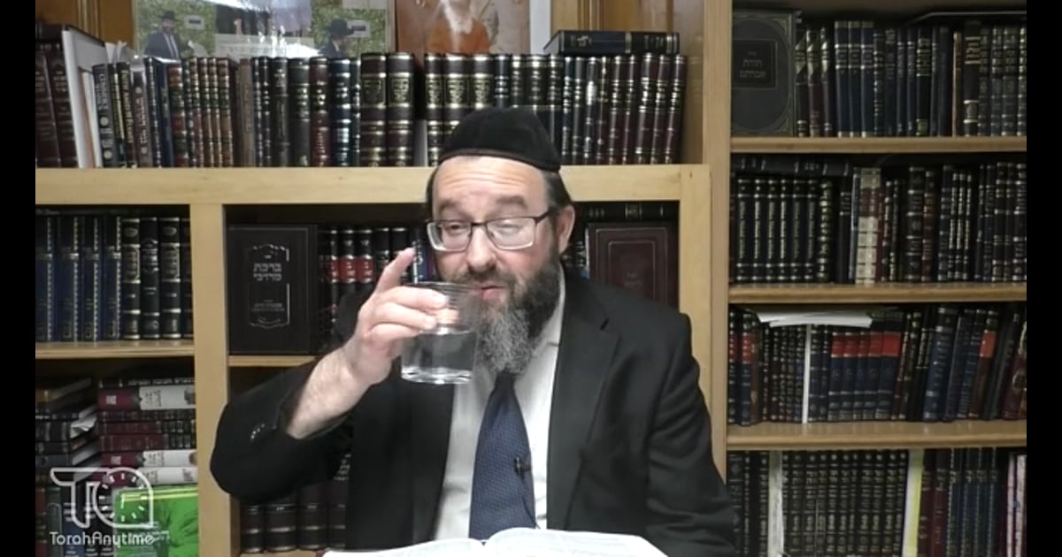 R' Dovid Aron Gross Meshech Chochma Parashat Emor Sefira