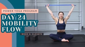 Day 24: Mobility Flow