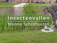 Insectenvallen 
