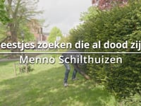 Beestjes zoeken die al dood zijn 