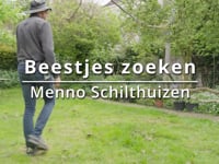 Beestjes zoeken