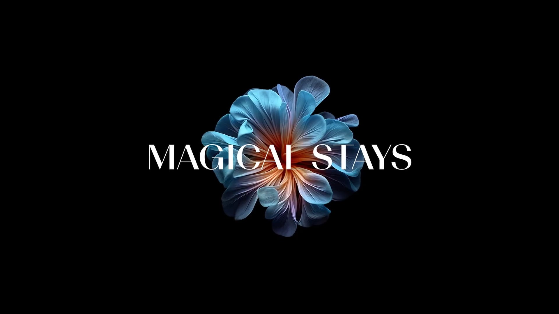 Vertti & Co. "Magical Stays"