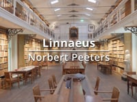 Linnaeus 