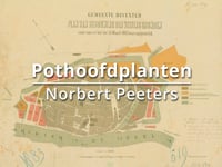 Pothoofdplanten 