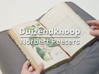 Duizendknoop 