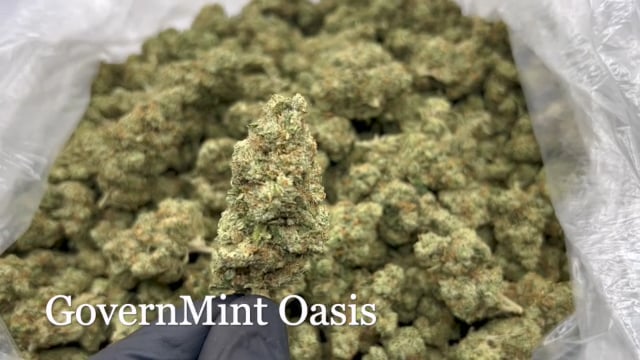 GovernMint Oasis THCa