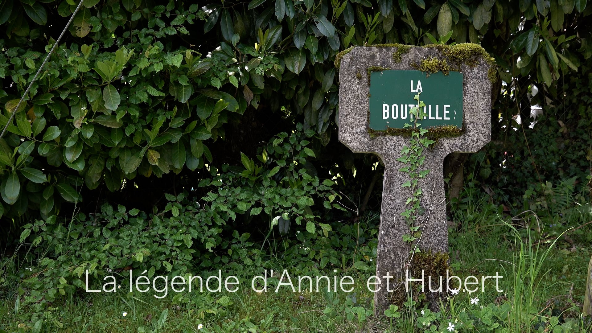 05_ANNIE HUBERT HD ST