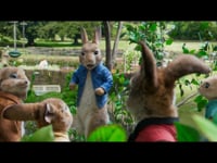 Arrive - International