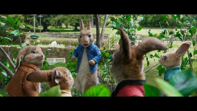 Arrive - International