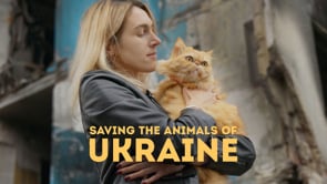 SavingTheAnimalsOfUkraine_Trailer_Web