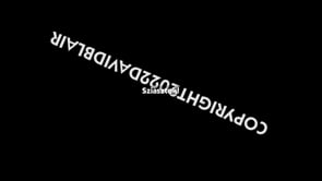 [Day 12] WAX Hungarian