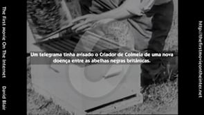 [Day 18] WAX Portuguese