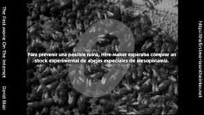 [Day 24] WAX Spanish