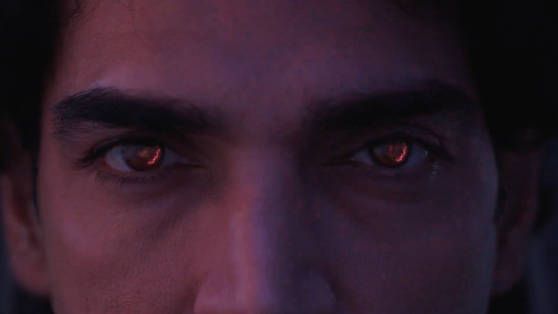 Kia Sonet _ Wild Reborn