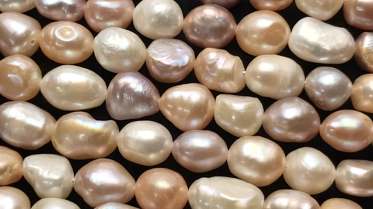 バロックの真珠 建築行脚 9 磯崎新+篠山紀信 建築行脚9 バロックの真珠 サン・カルロ・アッレ