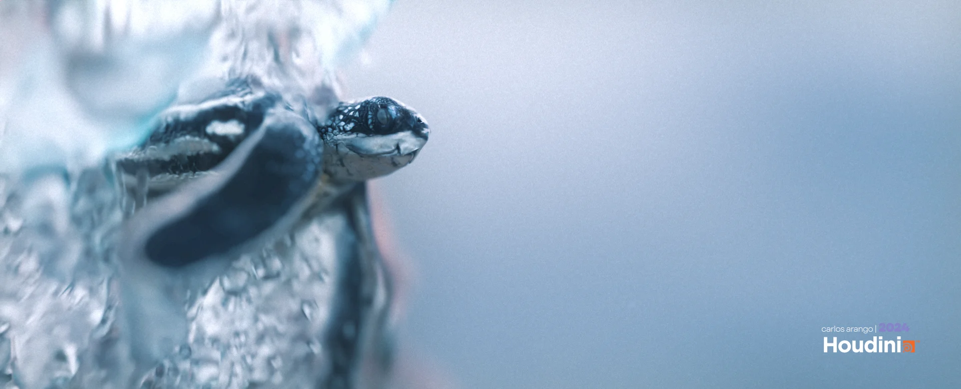 Houdini Bubbles Simulation | Underwater Scene | VFX | TURTLE CLIP ...