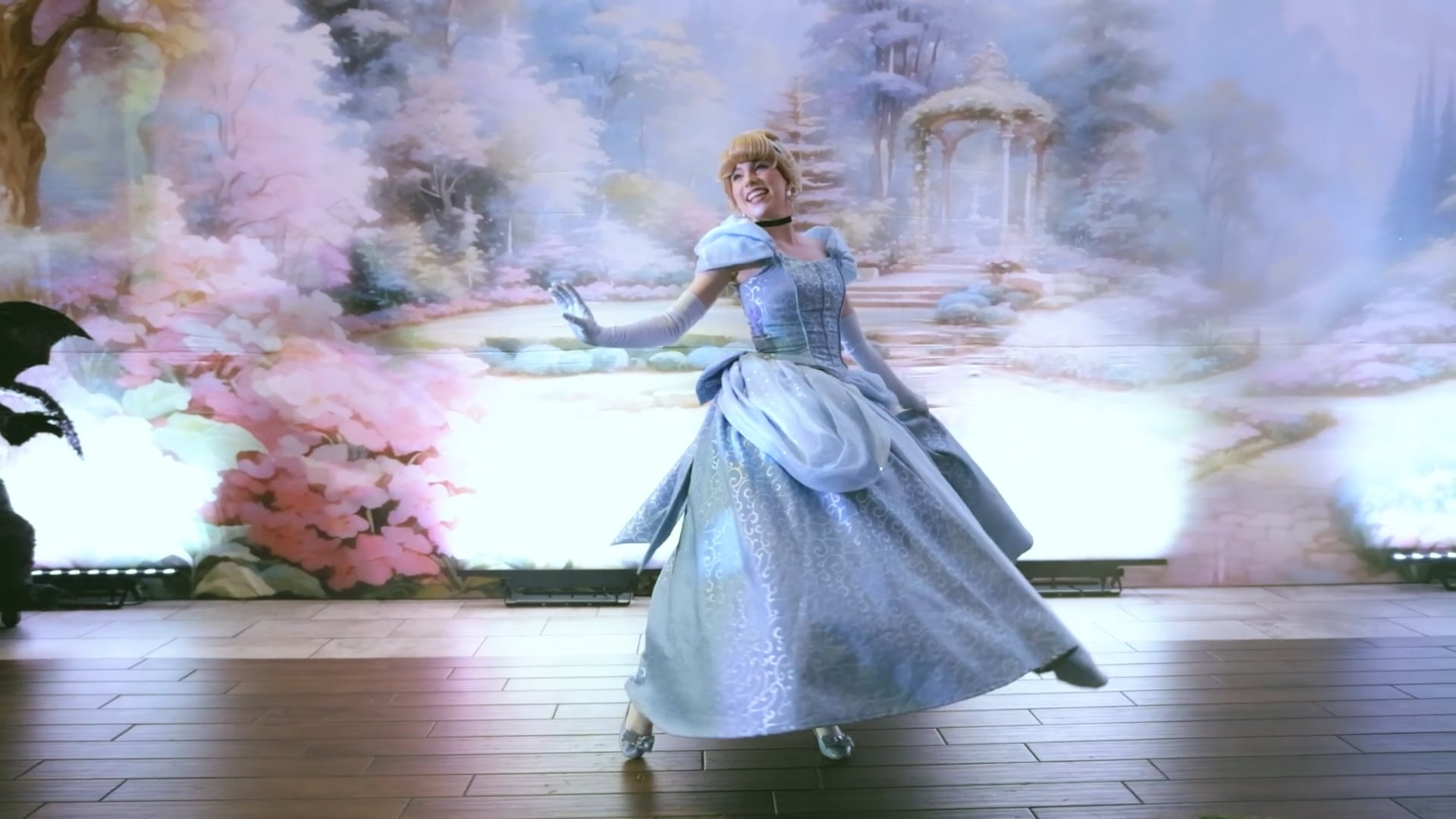 Promotional video thumbnail 2 for Painter Pictures Photography