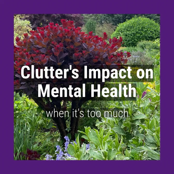 Clutters Impact on Mental Health on Vimeo