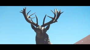 Toogoolawah  History Museum