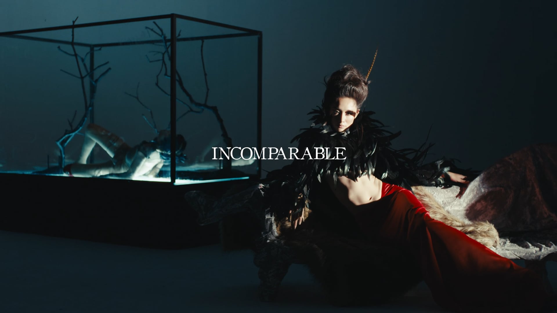 INCOMPARABLE | L SEOUL FASHION SHOW 2024 (Editor's cut)