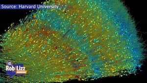 Harvard Scientists Mapped A Piece Of Our Brain